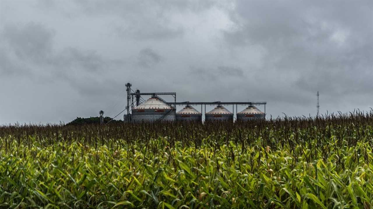 Large Food falling short to meet hype on regenerative farming