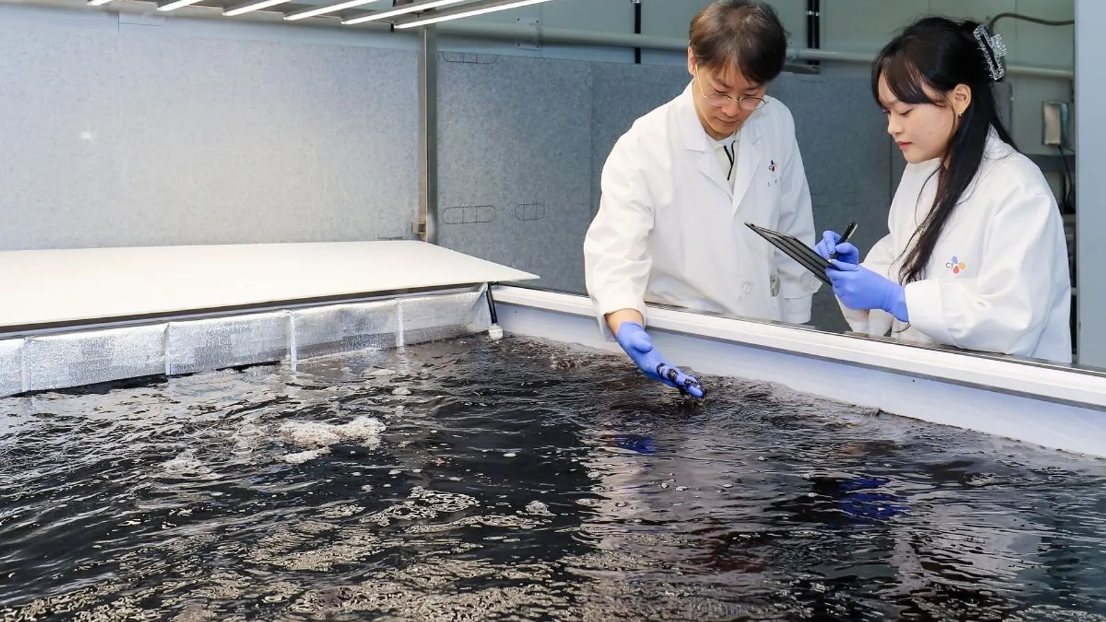 Bibigo proprietor to build cultivated seaweed plant to sustain Oriental food demand