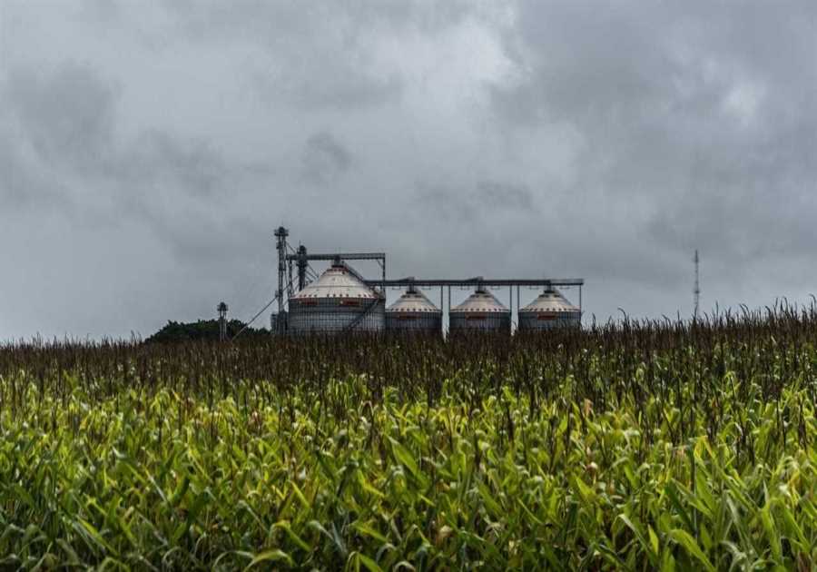Large Food falling short to meet hype on regenerative farming