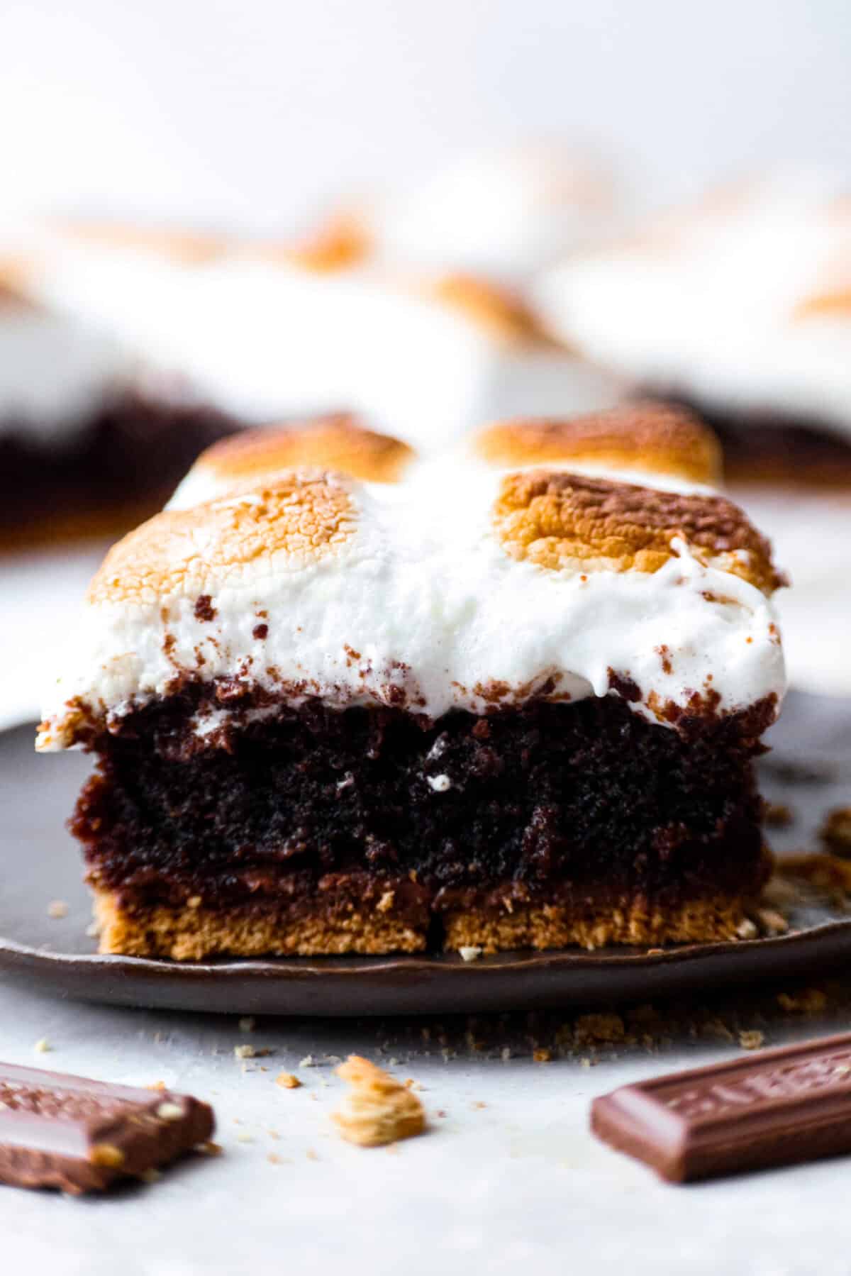 Close up shot of the side of a S'mores brownie. 
