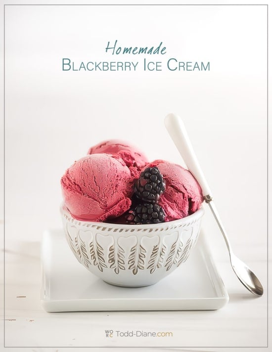 bowl of blackberry ice cream 