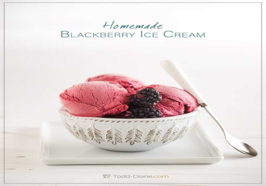 Freaking Good Home Made Blackberry Ice Cream