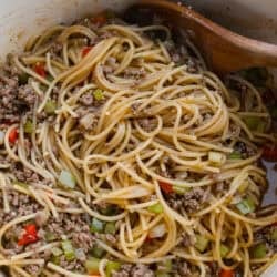 Weekly Dish Plan # 99.
