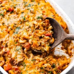 Weekly Dish Plan # 99.