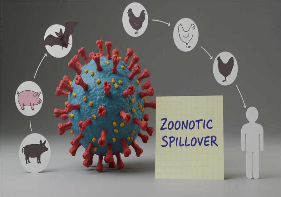 The Sunday Version: Zoonoses