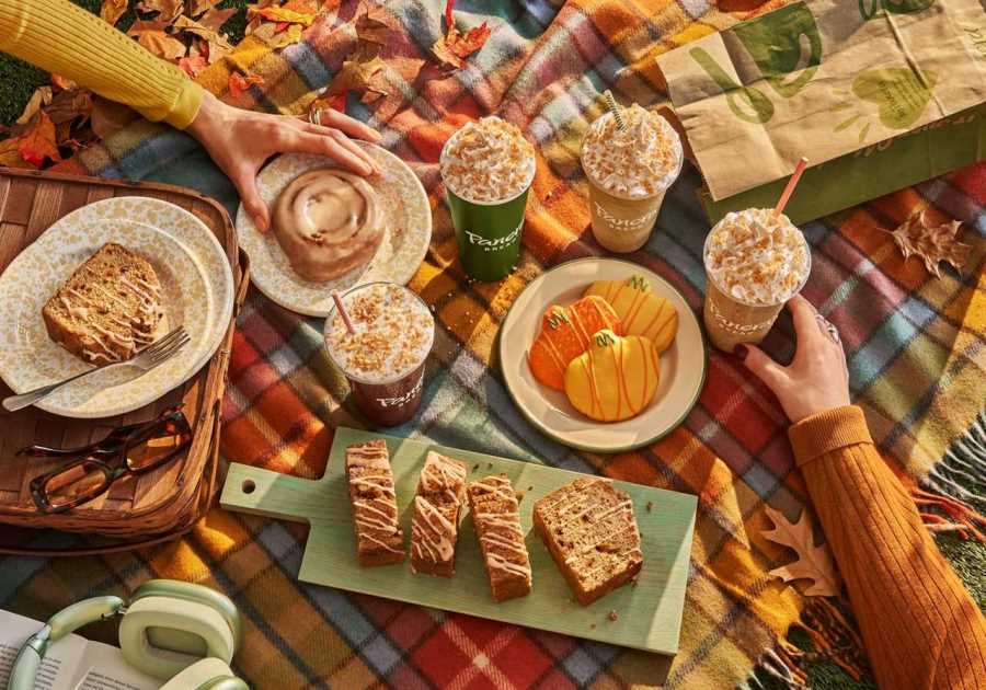 Pumpkin Period Gets Here Early: Panera Decline New Loss Bakery and Drink Lineup