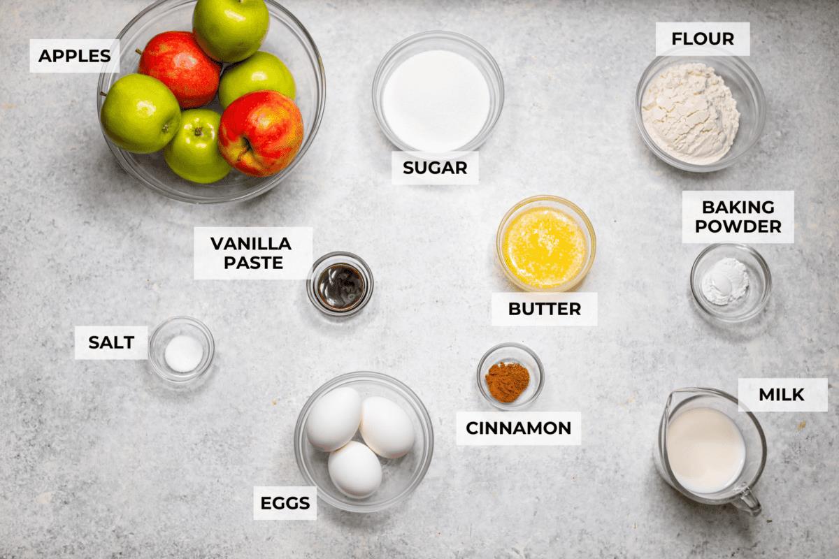 Overhead shot of labeled invisible apple cake ingredients. 