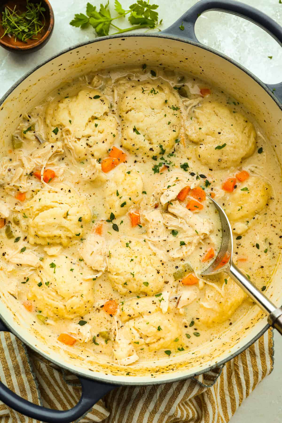 Hen and Dumpling Soup