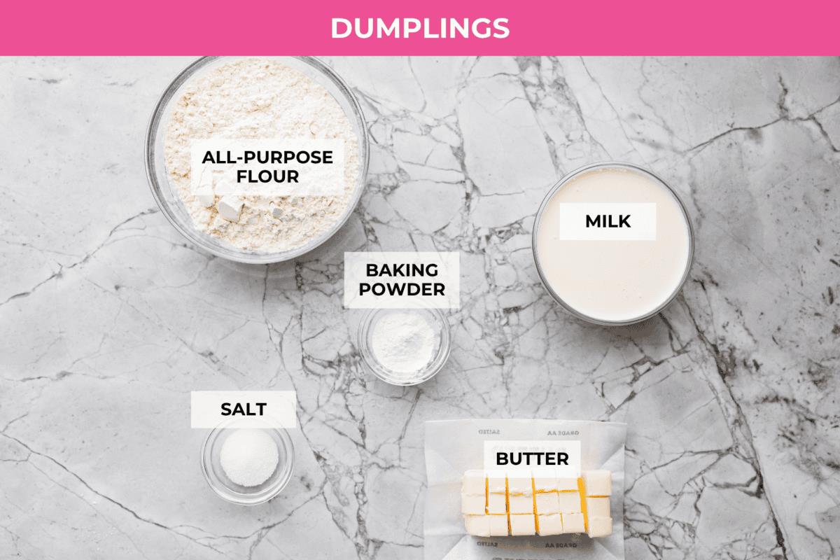 Overhead shot of labeled dumpling ingredients.