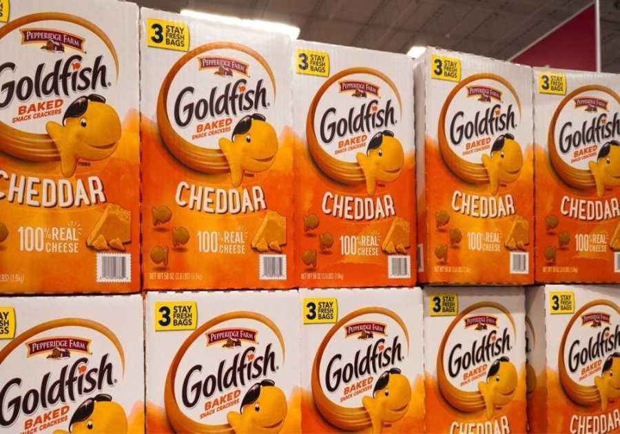 Campbell's chases after more financial savings as grim expectation hold-ups turn-around