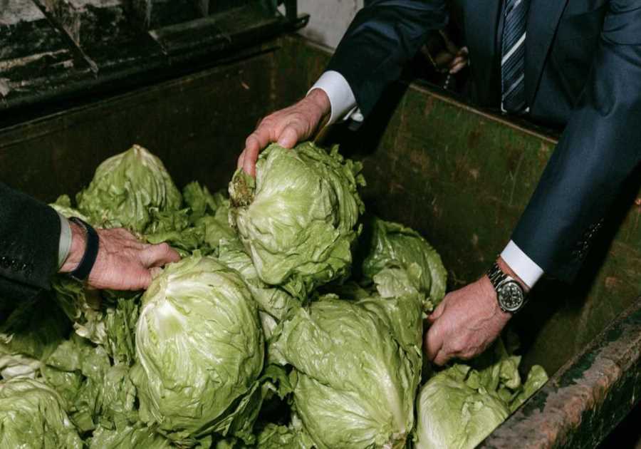 CDC claims Cyclospora break out linked to iceberg lettuce is over