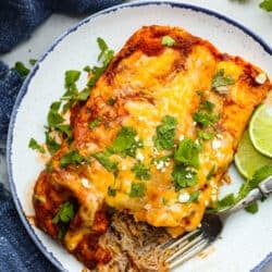 Weekly Dish Plan # 111.
