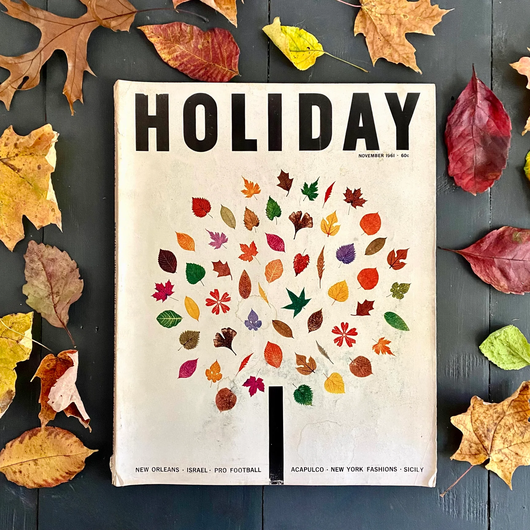 It's Below! Our Annual All Souls Day Sale is Monday, November 2nd!