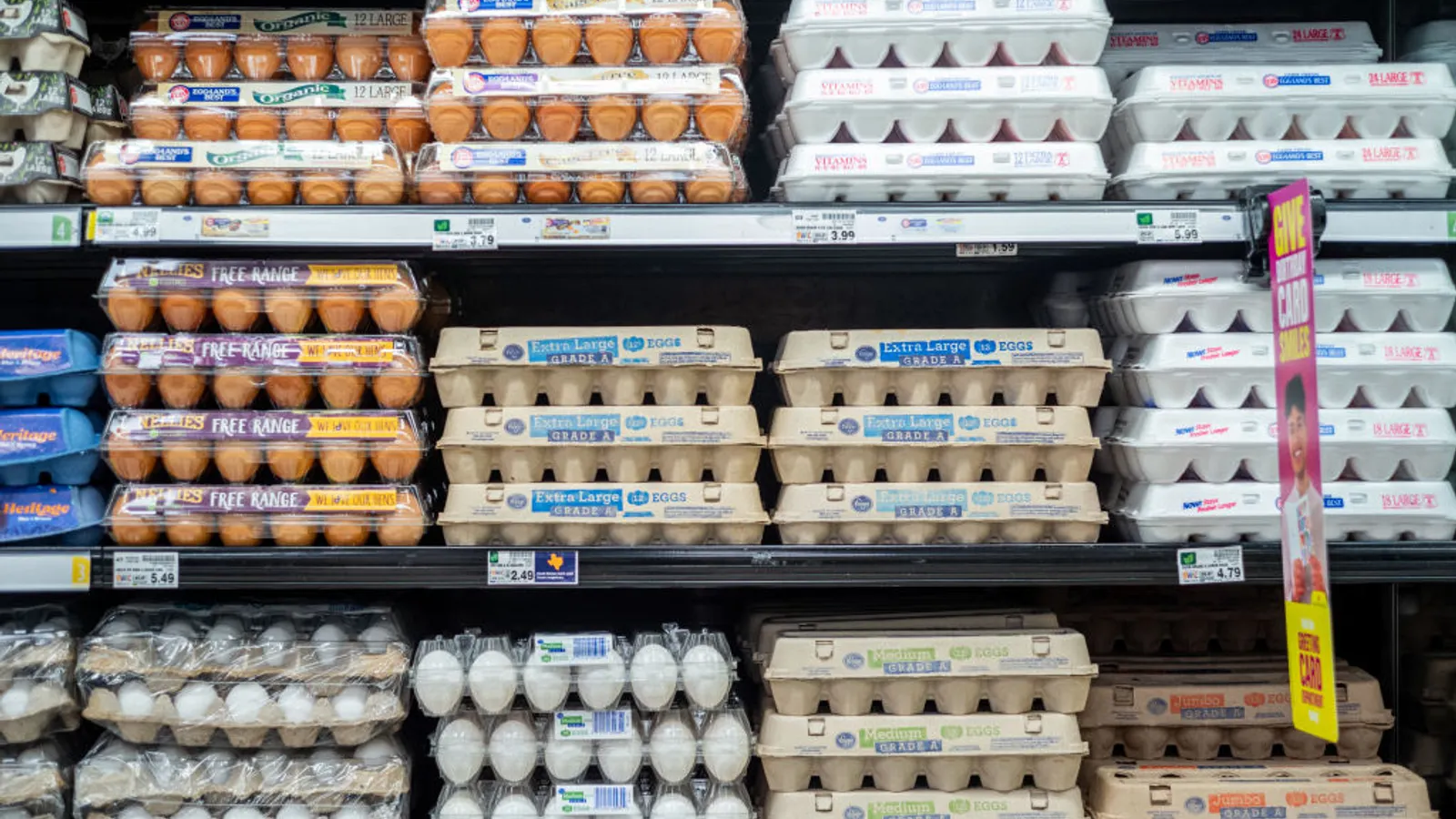 Cal-Maine points to egg supply, need rebalance