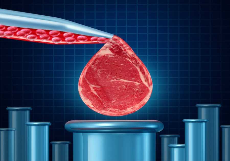 Sunday Version: Cultivated meat